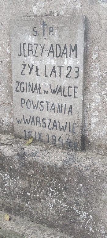 20241026_114758