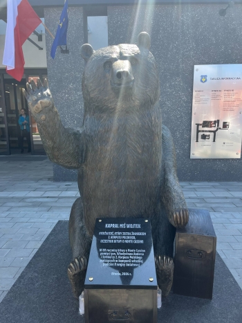 1000019956