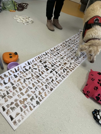 840e343d-1308-41c8-af0b-7138a0a6ca1e.jfif